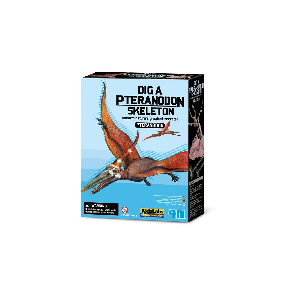 Dino Ausgrabungsset - Pteranodon