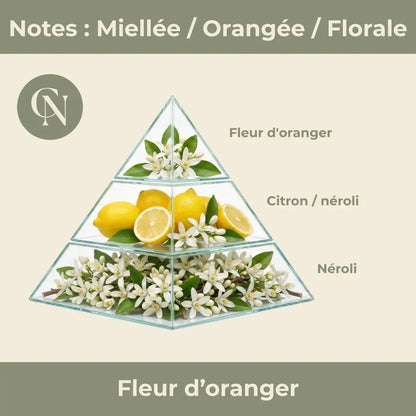 Rayonnement – Citrine & Fleur d’Oranger