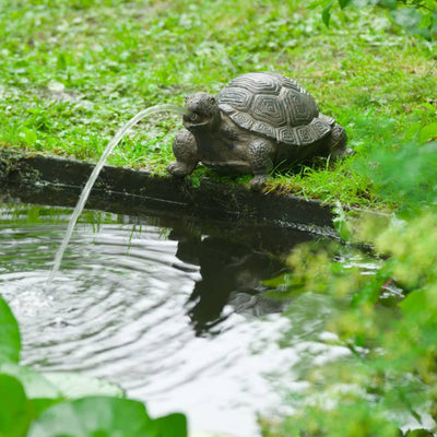 Ubbink Wasserspeier Schildkröte