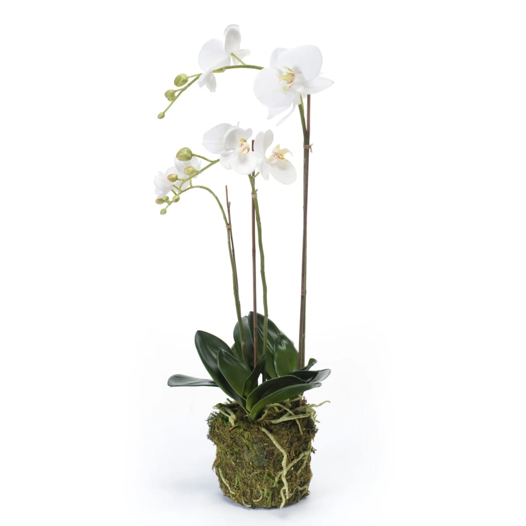 Emerald Künstliche Phalaenopsis-Orchidee Weiß 70 cm