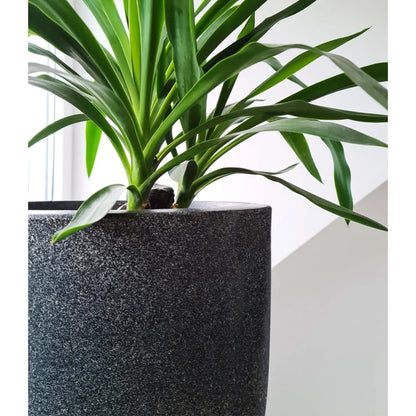 Capi Blumentopf Waste Smooth 35x34 cm Grau