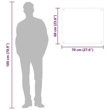 Küchenrückwand Transparent 70x60 cm Hartglas