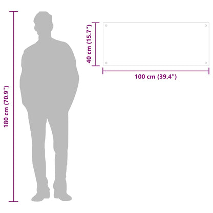 Küchenrückwand Transparent 100×40 cm Hartglas