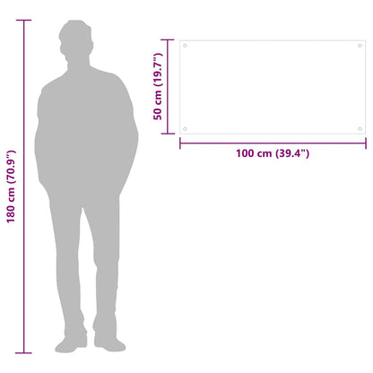 Küchenrückwand Transparent 100×50 cm Hartglas