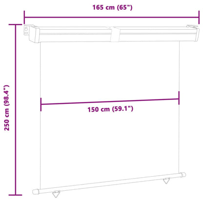 Balkon-Seitenmarkise 160 × 250 cm Grau