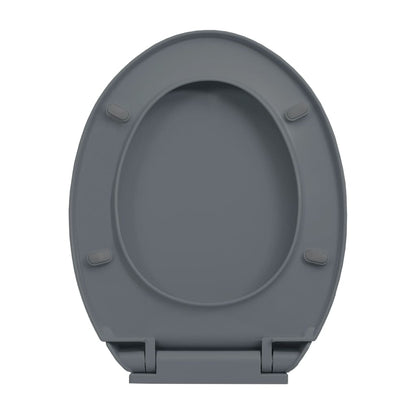 Toilettensitz mit Absenkautomatik Quick-Release Grau Oval