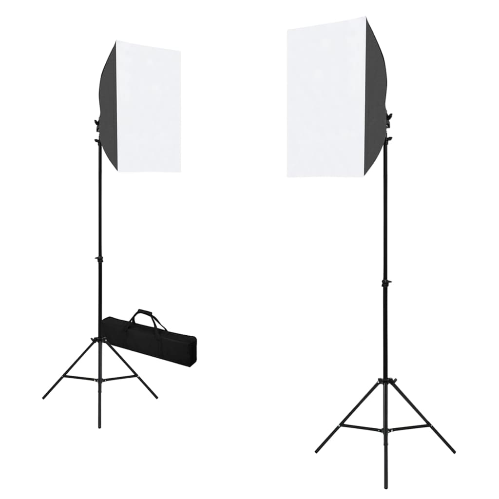 Fotostudio-Set mit Softboxen und Hintergrundsystem