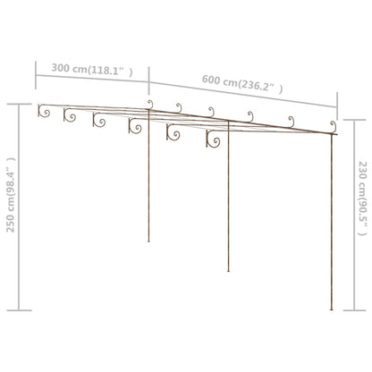 Garten-Pergola Antik-Braun 6x3x2,5 m Eisen