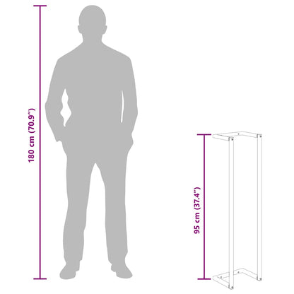 Handtuchständer Schwarz 25x20x95 cm Eisen