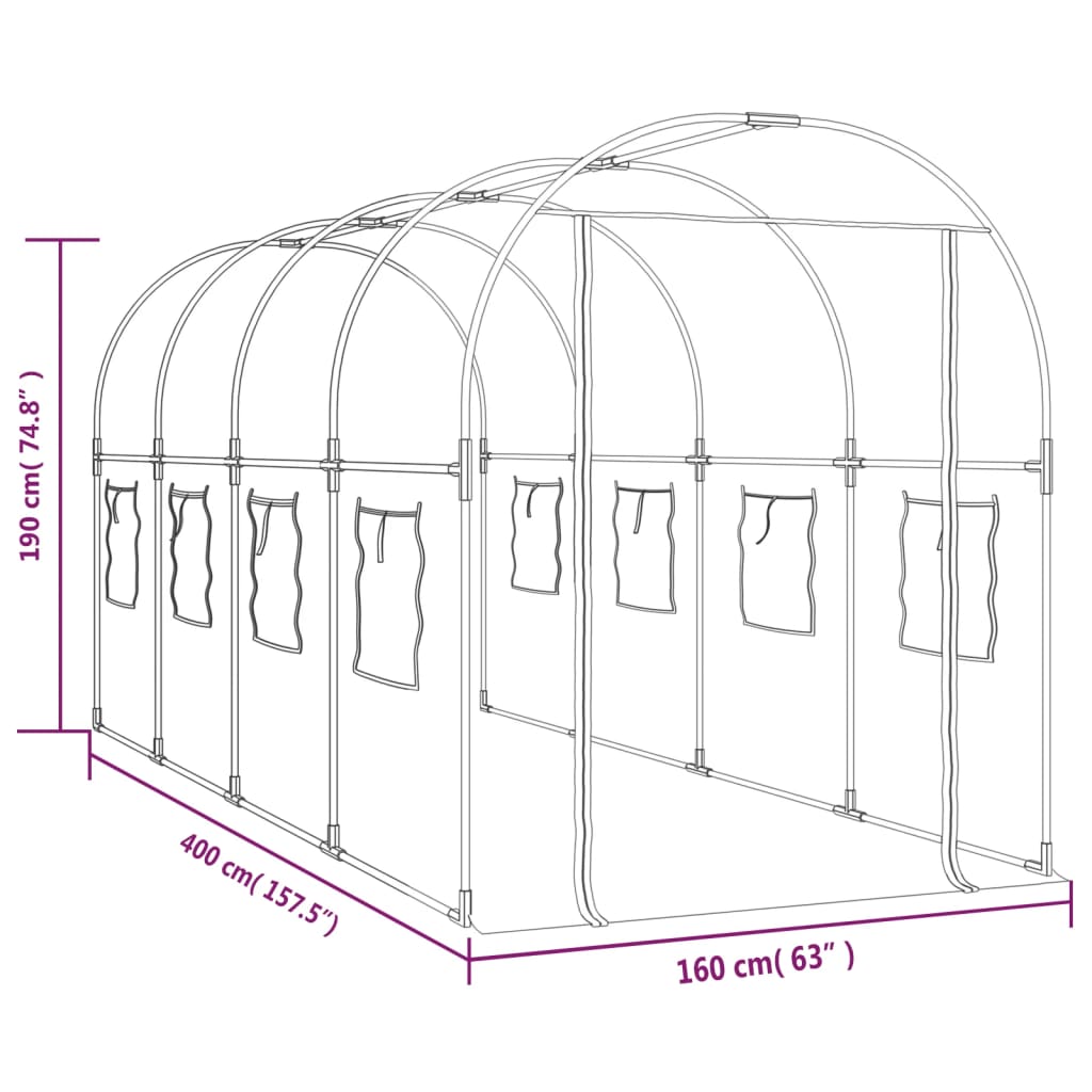 Gewächshaus Transparent 160x400x190 cm PVC & Stahl