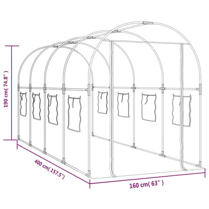 Gewächshaus Transparent 160x400x190 cm PVC & Stahl