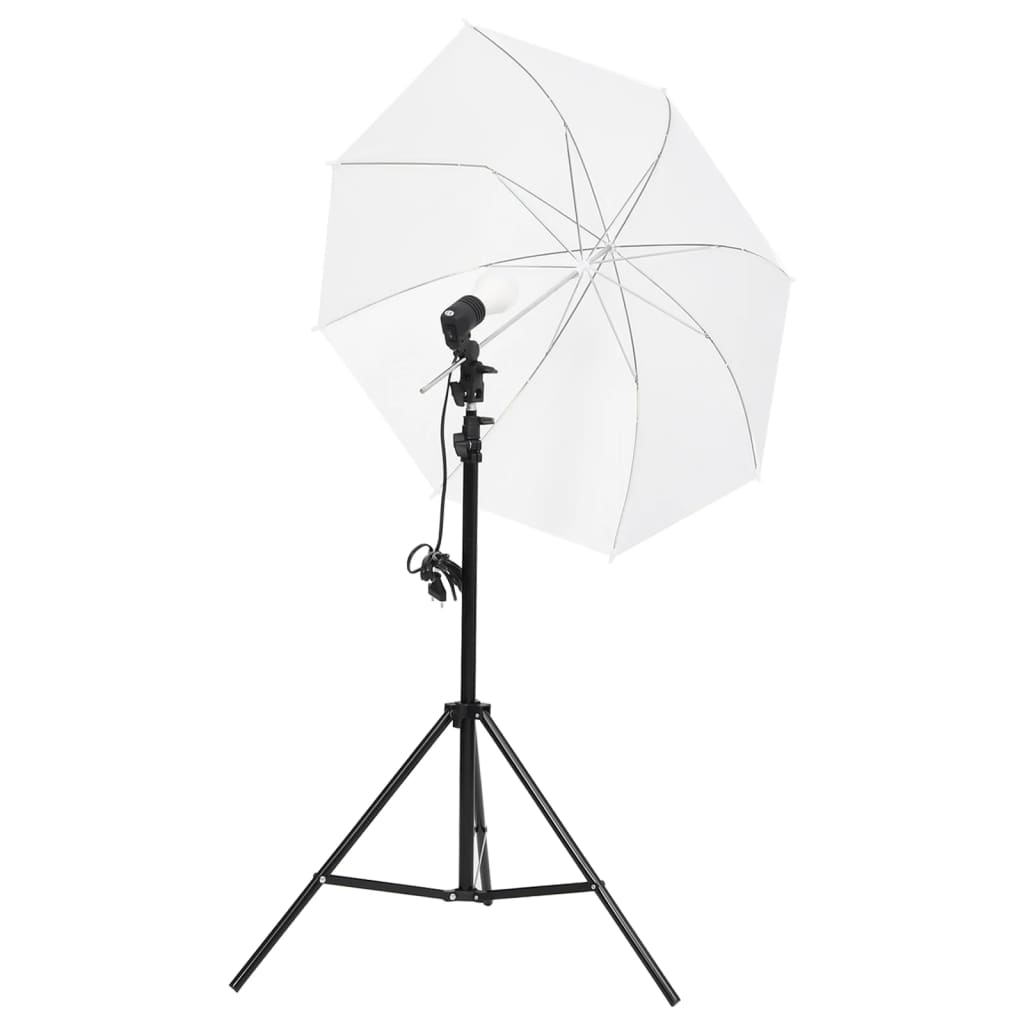 Fotostudio-Set mit Beleuchtung und Hintergrund