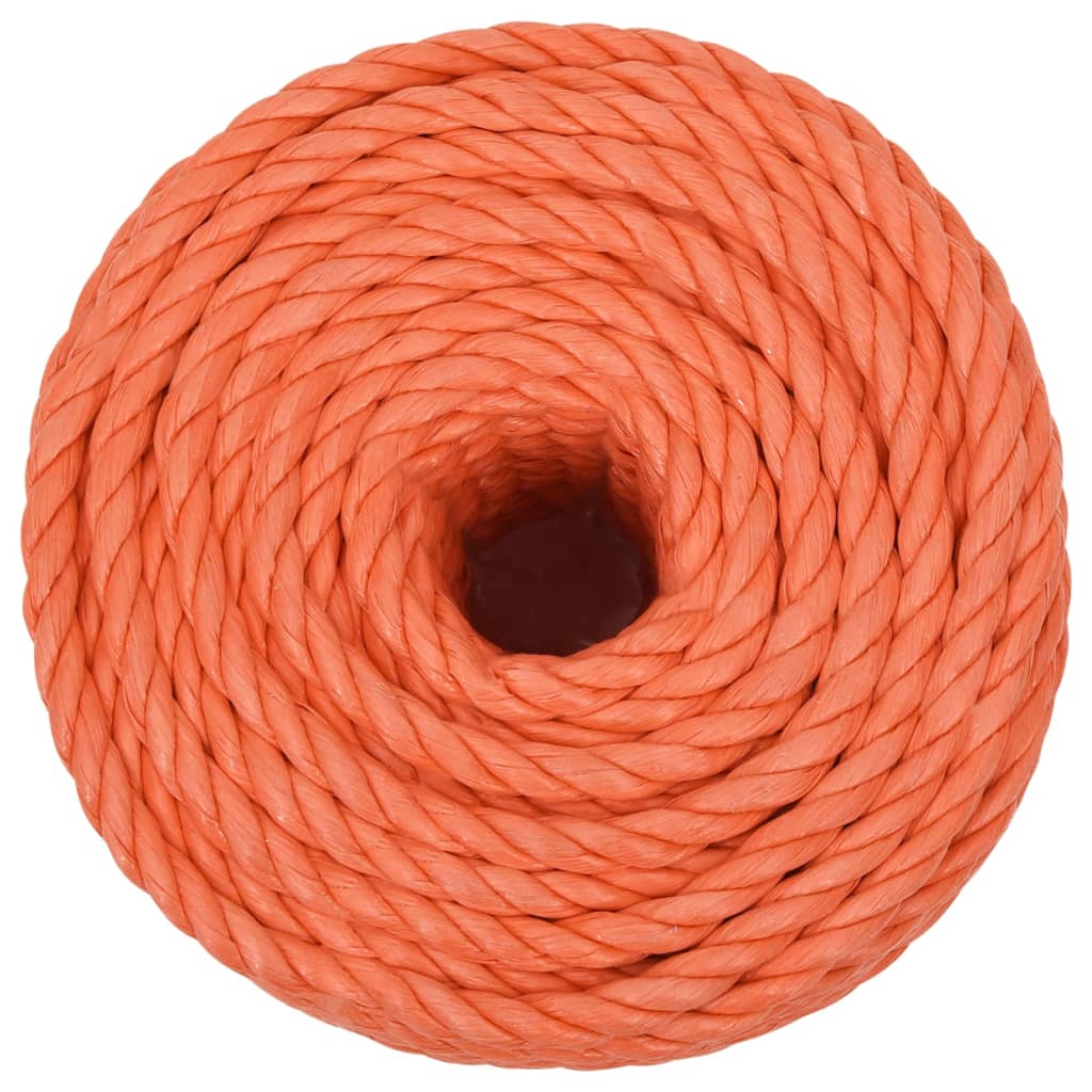 Arbeitsseil Orange 10 mm 25 m Polypropylen