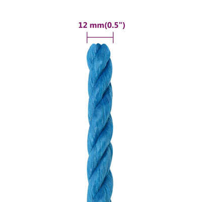 Arbeitsseil Blau 12 mm 25 m Polypropylen