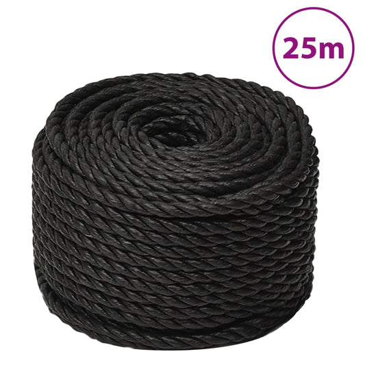 Arbeitsseil Schwarz 10 mm 25 m Polypropylen