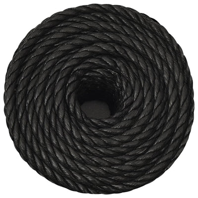 Arbeitsseil Schwarz 10 mm 25 m Polypropylen