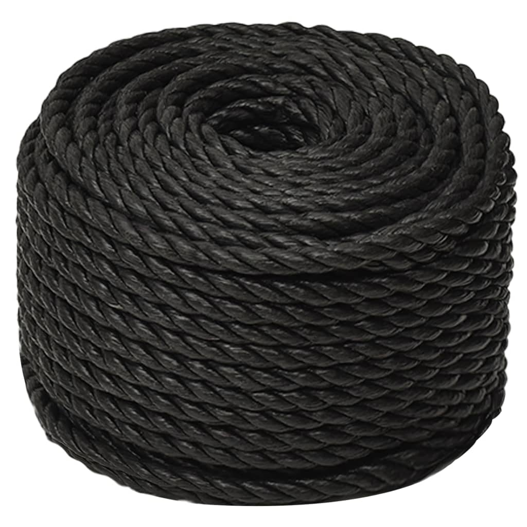 Arbeitsseil Schwarz 10 mm 50 m Polypropylen