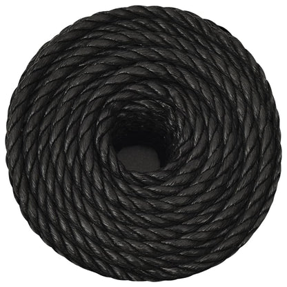 Arbeitsseil Schwarz 10 mm 50 m Polypropylen