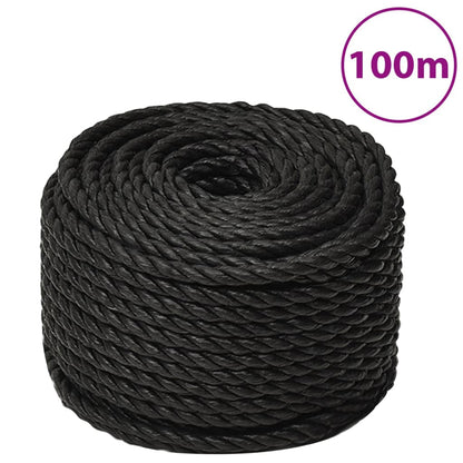 Arbeitsseil Schwarz 10 mm 100 m Polypropylen