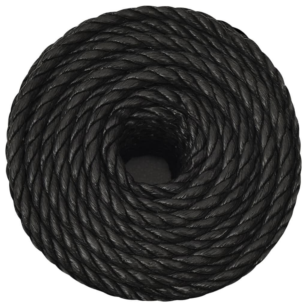 Arbeitsseil Schwarz 10 mm 500 m Polypropylen