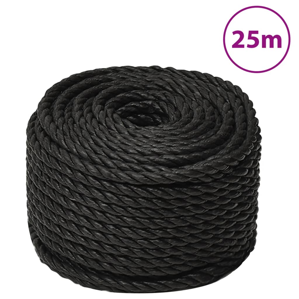 Arbeitsseil Schwarz 12 mm 25 m Polypropylen