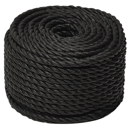 Arbeitsseil Schwarz 12 mm 25 m Polypropylen