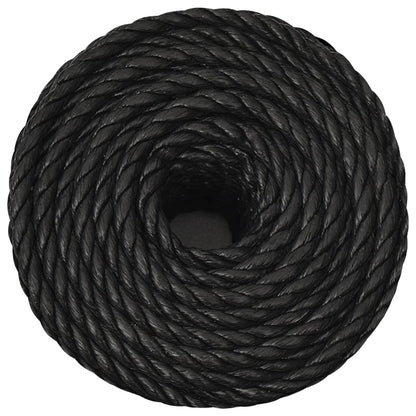 Arbeitsseil Schwarz 12 mm 250 m Polypropylen