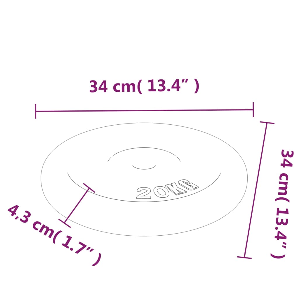 Hantelscheibe 40 kg Gusseisen