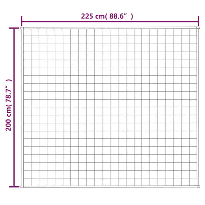 Gewichtsdecke Grau 200x225 cm 13 kg Stoff