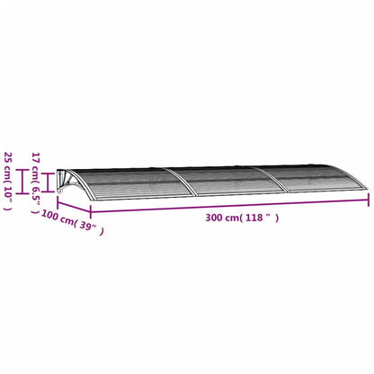 Türvordach Schwarz 300x100 cm Polycarbonat