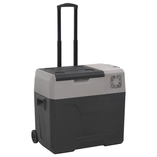 Borsa frigo con ruote e maniglia, nero e grigio, 40 L, polipropilene
