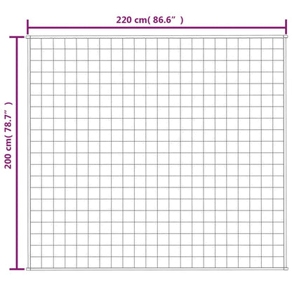 Gewichtsdecke Grau 200x220 cm 9 kg Stoff