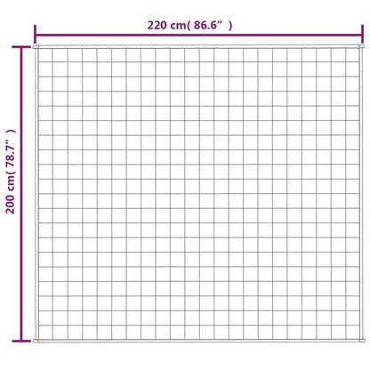 Gewichtsdecke Hellcreme 200x220 cm 13 kg Stoff