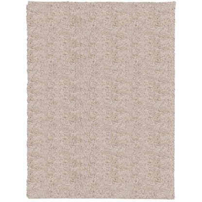 Teppich Shaggy Hochflor Modern Beige 300x400 cm