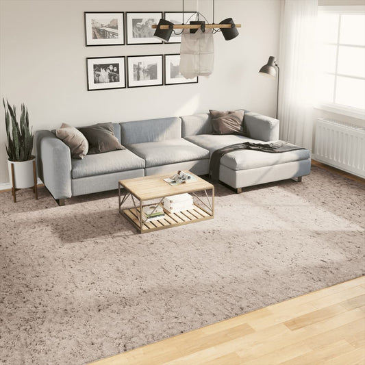 Teppich Shaggy Hochflor Modern Beige 300x400 cm