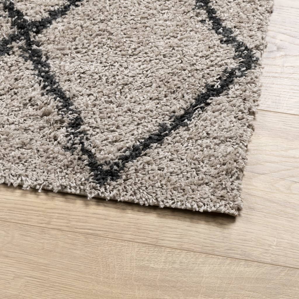 Teppich Shaggy Hochflor Modern Beige und Anthrazit 80x150 cm