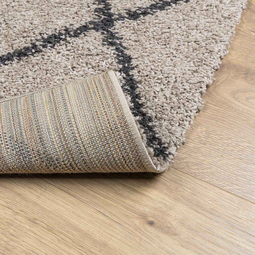 Teppich Shaggy Hochflor Modern Beige und Anthrazit 80x150 cm