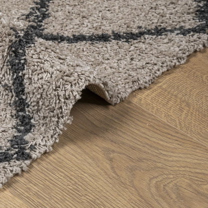 Teppich Shaggy Hochflor Modern Beige und Anthrazit 80x150 cm