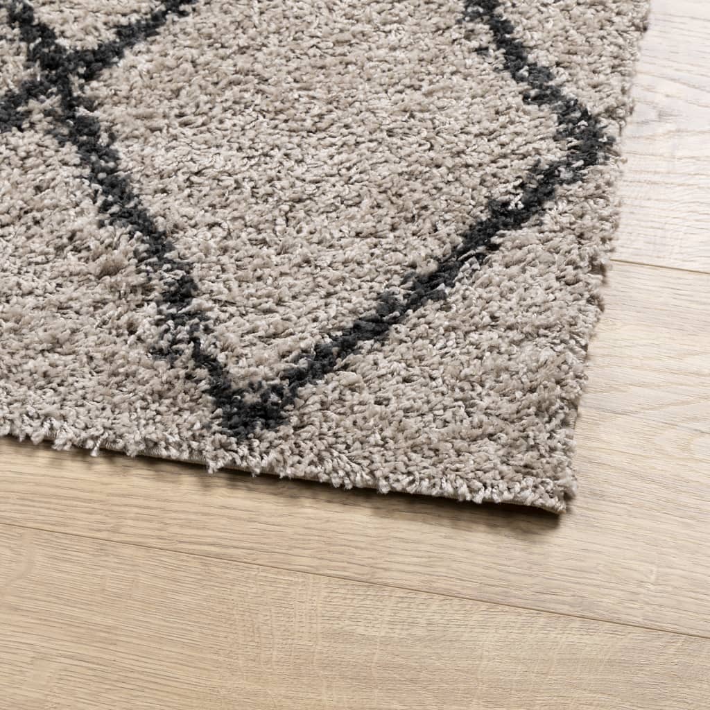 Teppich Shaggy Hochflor Modern Beige und Anthrazit 80x200 cm