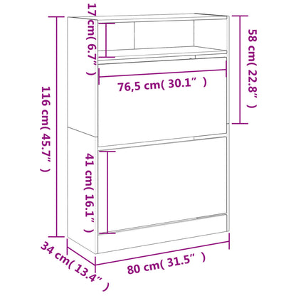 Schuhschrank mit 2 Klappen Schwarz 80x34x116 cm