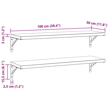 Wandregale 2 Stk. 100x30 cm Silbern Edelstahl