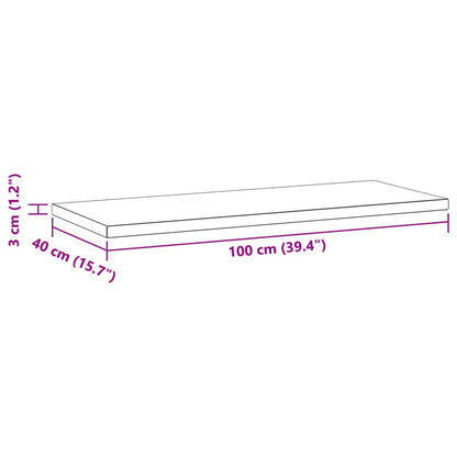 Wandregale 2 Stk. 100x40x3 cm Silbern Edelstahl