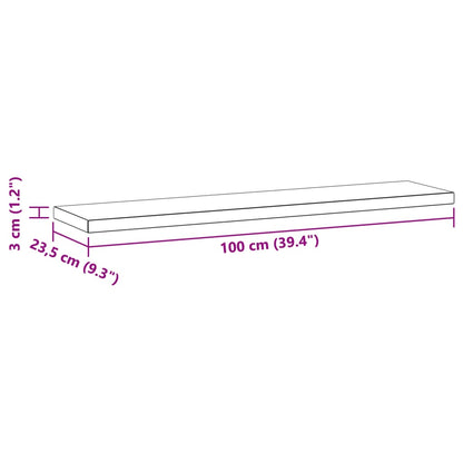 Wandregale 2 Stk. 100x23,5x3 cm Silbern Edelstahl