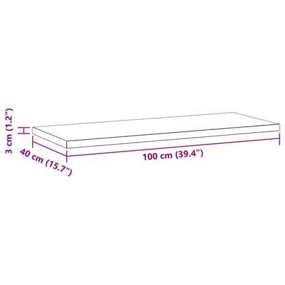 Wandregale 2 Stk. 100x40x3 cm Schwarz Edelstahl