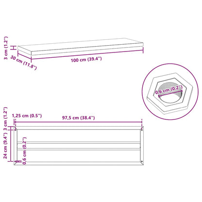 Wandregale 2 Stk. 100x30x3 cm Schwarz Edelstahl