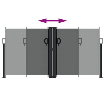 Seitenmarkise Ausziehbar Anthrazit 120x600 cm