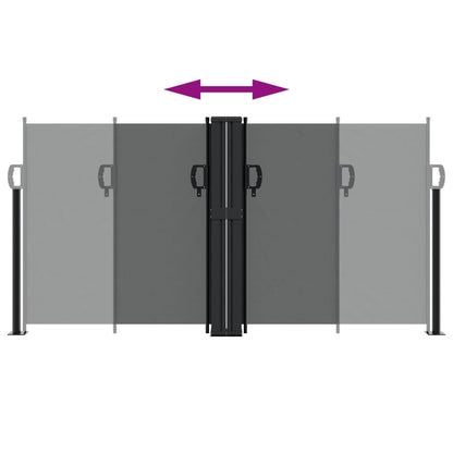 Seitenmarkise Ausziehbar Anthrazit 120x1000 cm