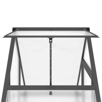 Gewächshaus mit Fundamentrahmen Anthrazit 169x58x195 cm Alu