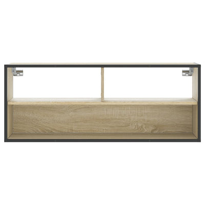 TV-Schrank Sonoma-Eiche 100x31x39,5 cm Holzwerkstoff und Metall