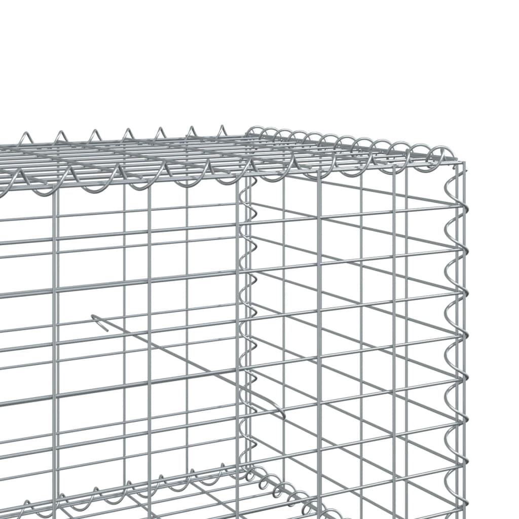 Gabione mit Deckel 1000x50x50 cm Verzinktes Eisen